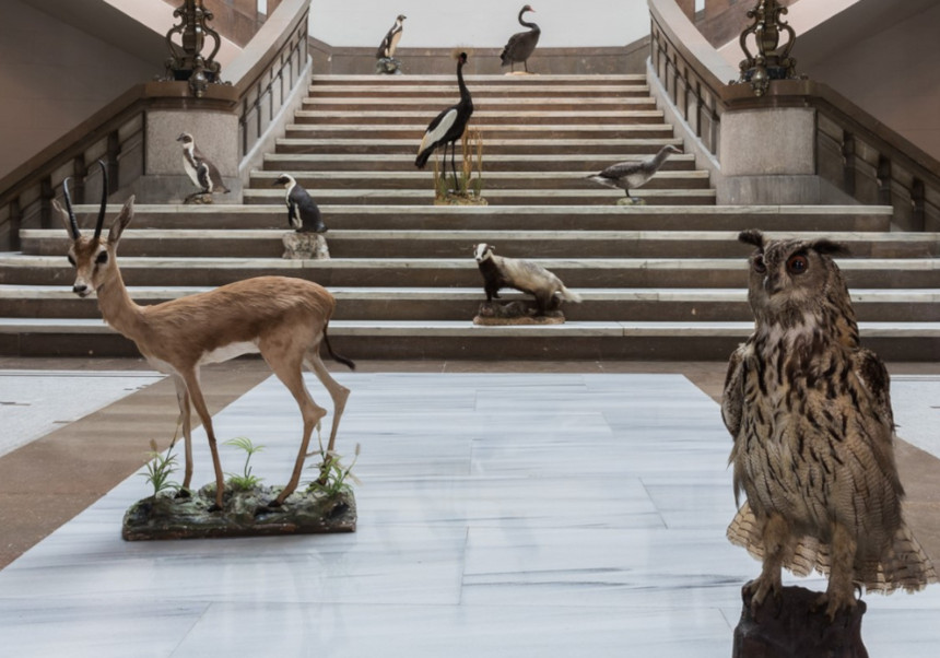 magen que ilustra el catálogo de colecciones UV en línea. Miguel Lorenzo.